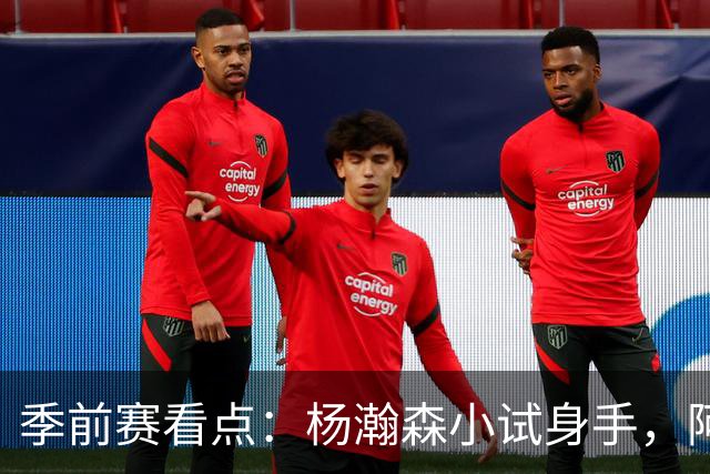 季前赛看点：杨瀚森小试身手，阿夫迪亚火力全开引领开拓者战胜国王